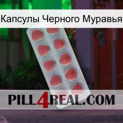 Капсулы Черного Муравья 18